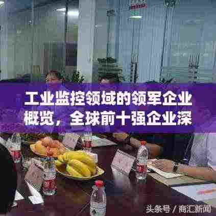 工业监控领域的领军企业概览，全球前十强企业深度解读