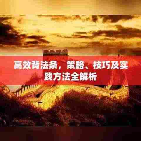 高效背法条，策略、技巧及实践方法全解析