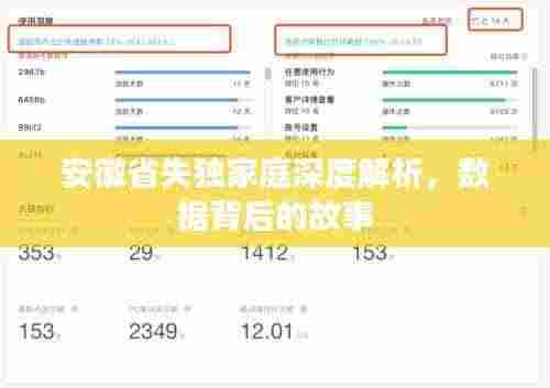 安徽省失独家庭深度解析，数据背后的故事