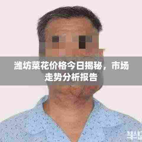 潍坊菜花价格今日揭秘，市场走势分析报告