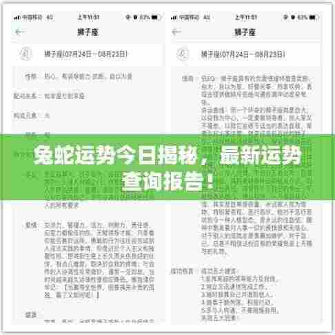 兔蛇运势今日揭秘，最新运势查询报告！