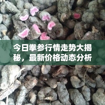 青鸟殷勤 第3页