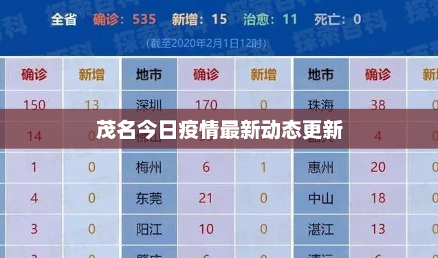 茂名今日疫情最新动态更新