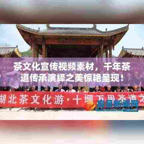茶文化宣传视频素材，千年茶道传承演绎之美惊艳呈现！