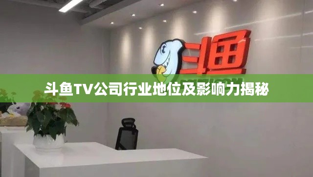 斗鱼TV公司行业地位及影响力揭秘