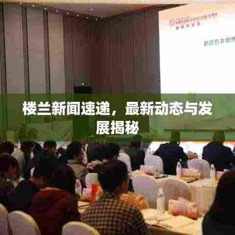 楼兰新闻速递，最新动态与发展揭秘