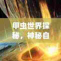 甲虫世界探秘，神秘自然宝藏的旅游攻略