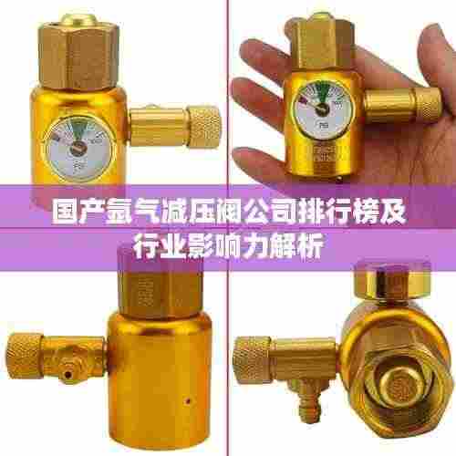 国产氩气减压阀公司排行榜及行业影响力解析