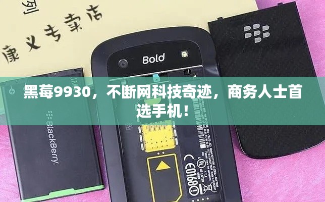 黑莓9930，不断网科技奇迹，商务人士首选手机！