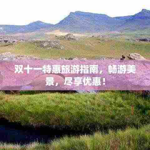 双十一特惠旅游指南，畅游美景，尽享优惠！