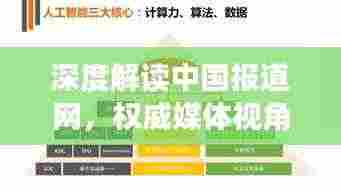 深度解读中国报道网，权威媒体视角，洞悉时事热点