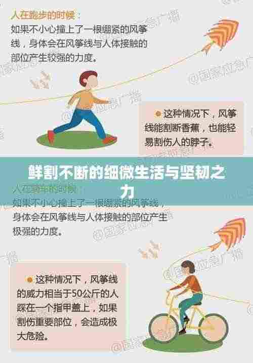鲜割不断的细微生活与坚韧之力