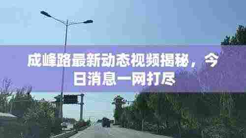 成峰路最新动态视频揭秘，今日消息一网打尽