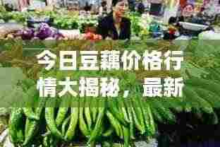 今日豆藕价格行情大揭秘，最新报价一网打尽！