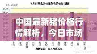 中国最新猪价格行情解析，今日市场走势分析