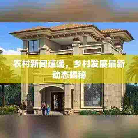农村新闻速递，乡村发展最新动态揭秘
