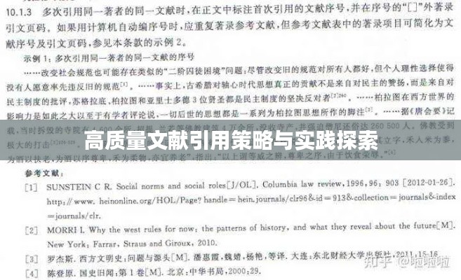 高质量文献引用策略与实践探索