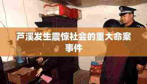 一本正经 第3页