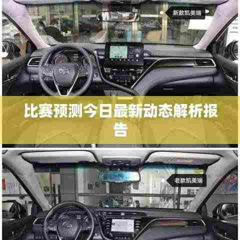 比赛预测今日最新动态解析报告