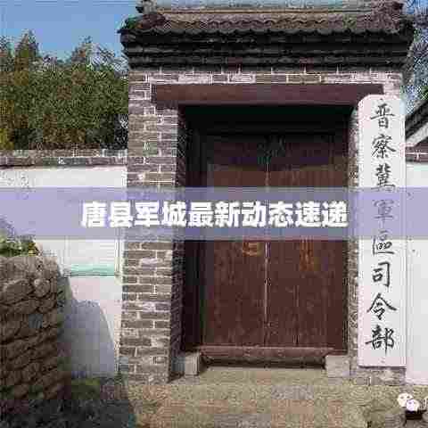 唐县军城最新动态速递