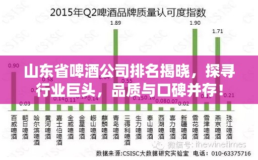 山东省啤酒公司排名揭晓，探寻行业巨头，品质与口碑并存！