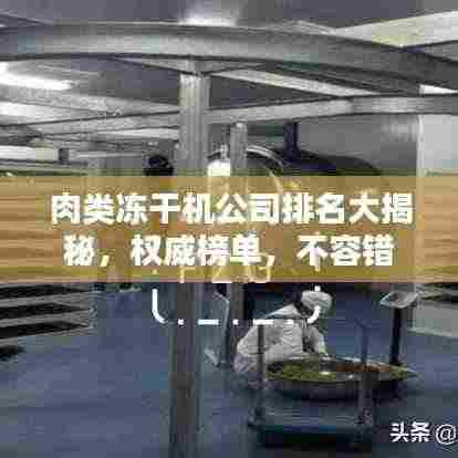 肉类冻干机公司排名大揭秘，权威榜单，不容错过！
