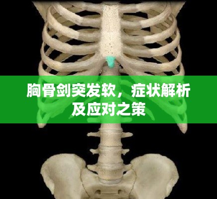 九死一生 第4页