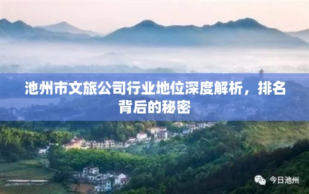 池州市文旅公司行业地位深度解析，排名背后的秘密