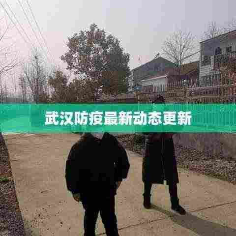 武汉防疫最新动态更新
