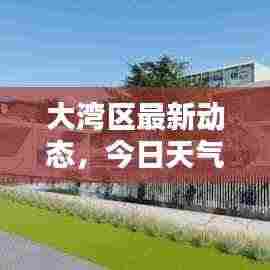 大湾区最新动态，今日天气速览