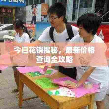 今日花销揭秘，最新价格查询全攻略
