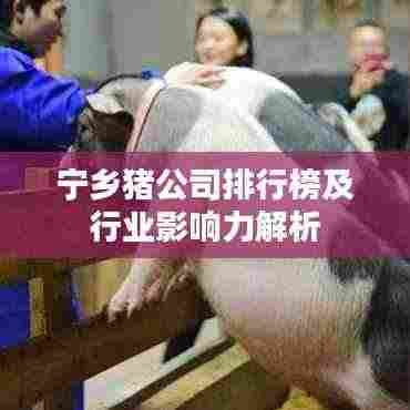 宁乡猪公司排行榜及行业影响力解析