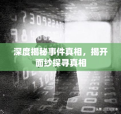 深度揭秘事件真相，揭开面纱探寻真相