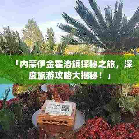 「内蒙伊金霍洛旗探秘之旅，深度旅游攻略大揭秘！」