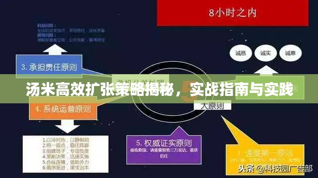 汤米高效扩张策略揭秘，实战指南与实践