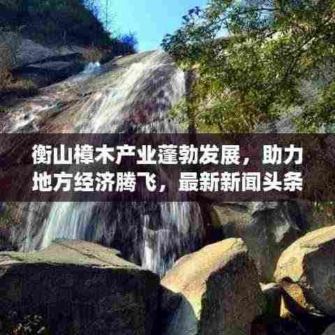 衡山樟木产业蓬勃发展，助力地方经济腾飞，最新新闻头条