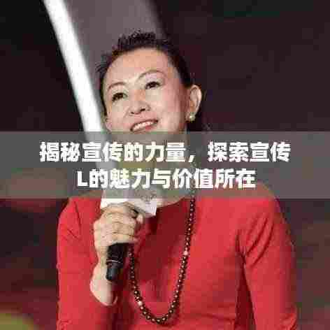 揭秘宣传的力量，探索宣传L的魅力与价值所在