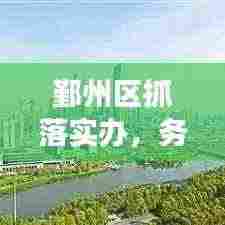 鄞州区抓落实办，务实前行，助力区域发展新篇章