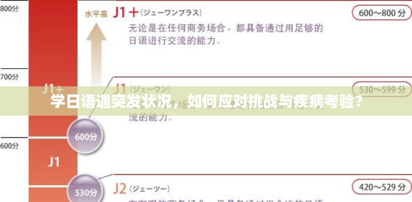 学日语遇突发状况，如何应对挑战与疾病考验？