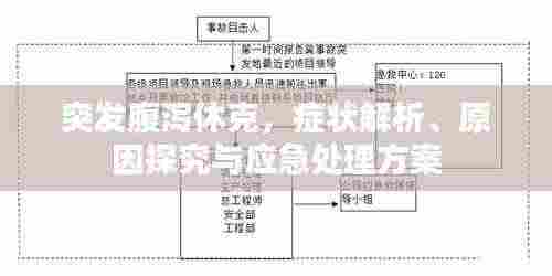 突发腹泻休克，症状解析、原因探究与应急处理方案
