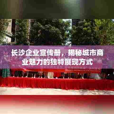 长沙企业宣传册，揭秘城市商业魅力的独特展现方式