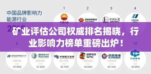 矿业评估公司权威排名揭晓，行业影响力榜单重磅出炉！