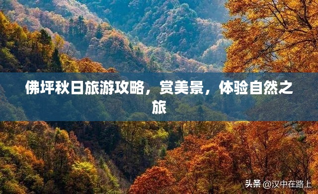 佛坪秋日旅游攻略，赏美景，体验自然之旅