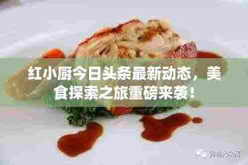 红小厨今日头条最新动态，美食探索之旅重磅来袭！