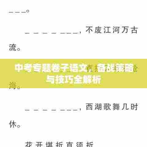 中考专题卷子语文，备战策略与技巧全解析