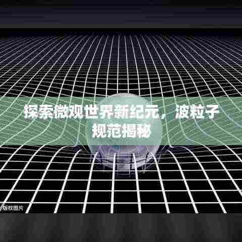 探索微观世界新纪元，波粒子规范揭秘