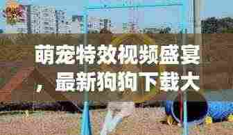 萌宠特效视频盛宴，最新狗狗下载大全，一网打尽娱乐时光