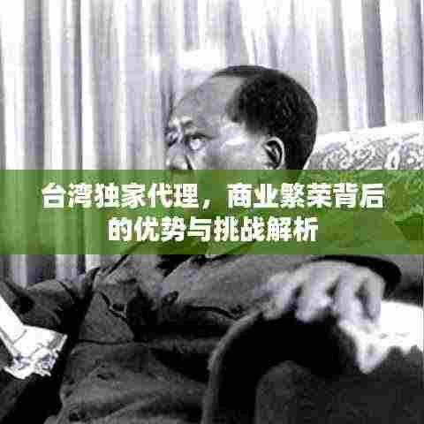 台湾独家代理，商业繁荣背后的优势与挑战解析