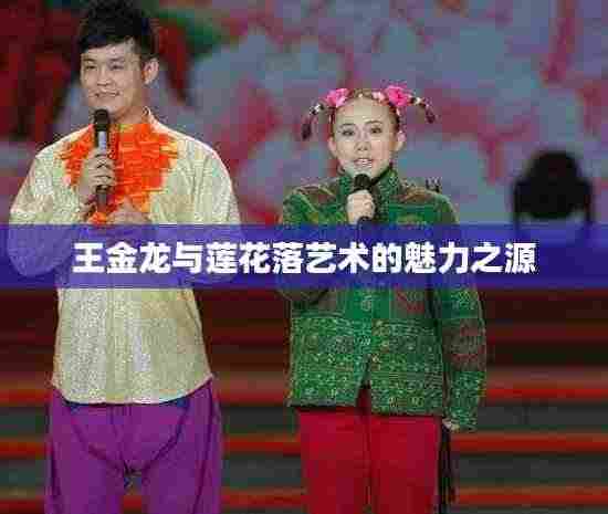 王金龙与莲花落艺术的魅力之源