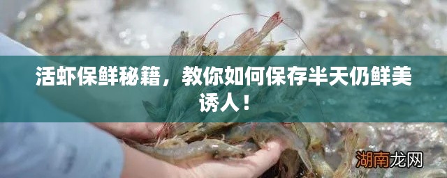 活虾保鲜秘籍，教你如何保存半天仍鲜美诱人！